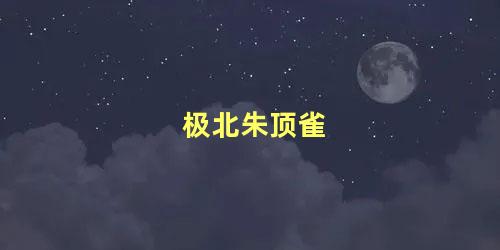 极北朱顶雀