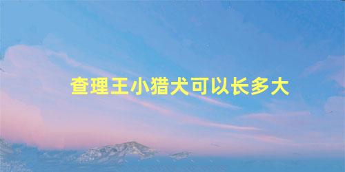 查理王小猎犬可以长多大