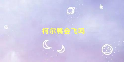 柯尔鸭会飞吗