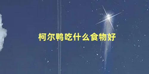 柯尔鸭吃什么食物好