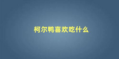 柯尔鸭喜欢吃什么