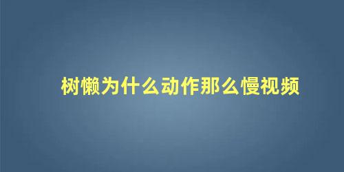 树懒为什么动作那么慢视频