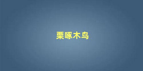 栗啄木鸟