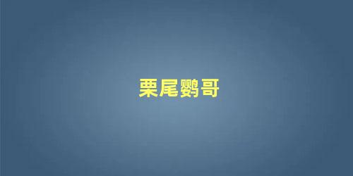 栗尾鹦哥