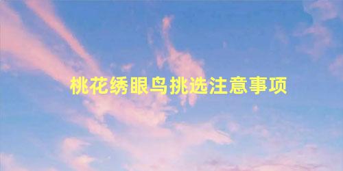 桃花绣眼鸟挑选注意事项