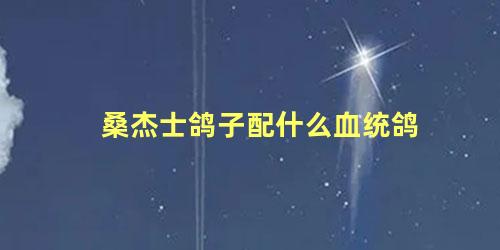 桑杰士鸽子配什么血统鸽