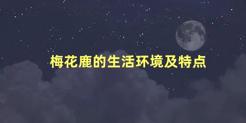 梅花鹿的生活环境及特点