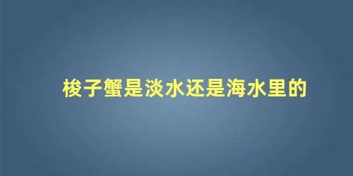 梭子蟹是淡水还是海水里的
