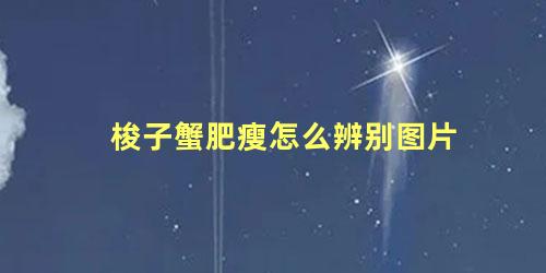 梭子蟹肥瘦怎么辨别图片