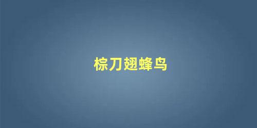 棕刀翅蜂鸟