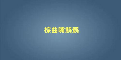 棕曲嘴鹪鹩
