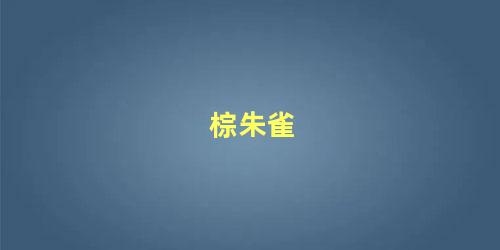 棕朱雀