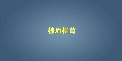 棕眉柳莺