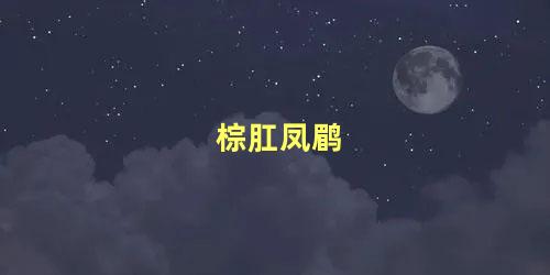 棕肛凤鹛