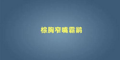 棕胸窄嘴霸鹟