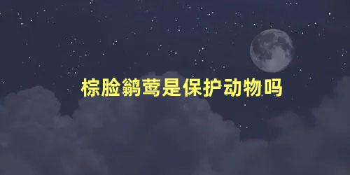 棕脸鹟莺是保护动物吗