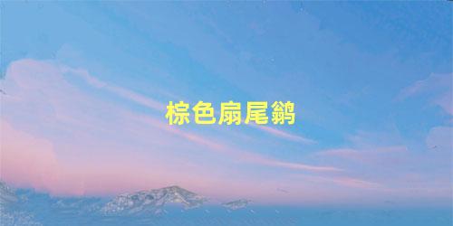 棕色扇尾鹟