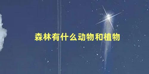 森林有什么动物和植物