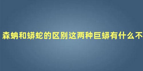 森蚺和蟒蛇的区别这两种巨蟒有什么不一样的...