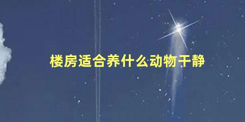 楼房适合养什么动物干静