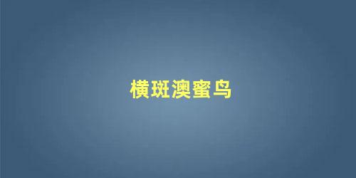 横斑澳蜜鸟