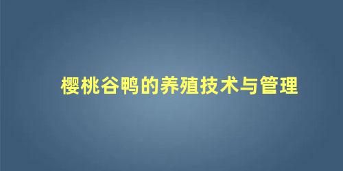 樱桃谷鸭的养殖技术与管理