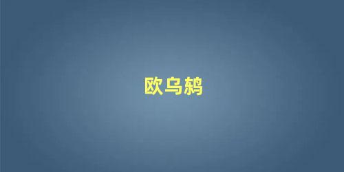 欧乌鸫