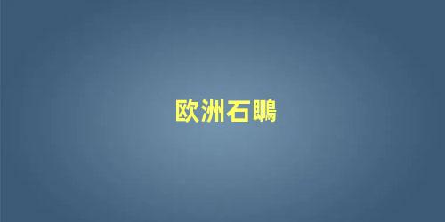 欧洲石䳭