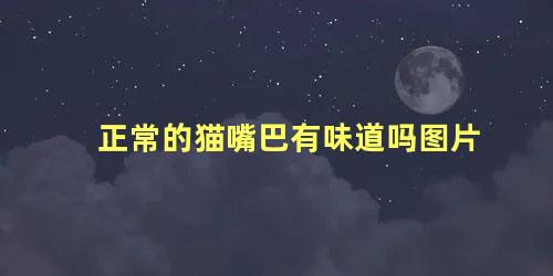 正常的猫嘴巴有味道吗图片