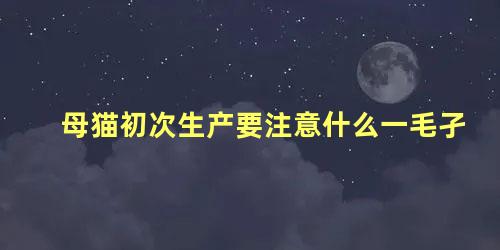 母猫初次生产要注意什么一毛孑