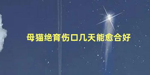 母猫绝育伤口几天能愈合好