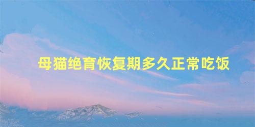 母猫绝育恢复期多久正常吃饭
