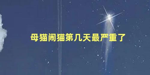 母猫闹猫第几天最严重了