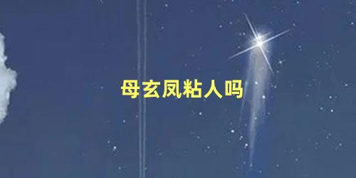 母玄凤粘人吗