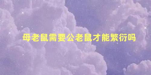 母老鼠需要公老鼠才能繁衍吗