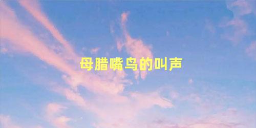 母腊嘴鸟的叫声