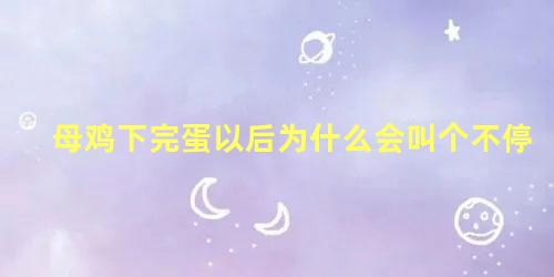 母鸡下完蛋以后为什么会叫个不停