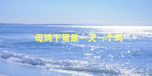 母鸡下蛋是一天一个吗