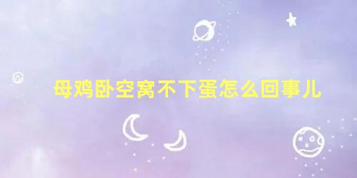 母鸡卧空窝不下蛋怎么回事儿