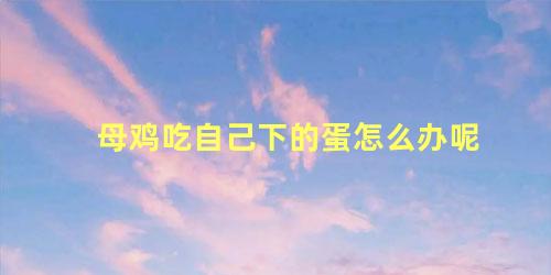 母鸡吃自己下的蛋怎么办呢