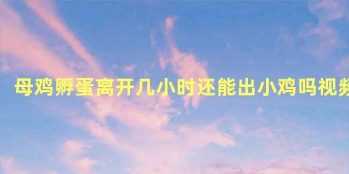 母鸡孵蛋离开几小时还能出小鸡吗视频