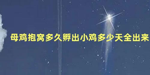母鸡抱窝多久孵出小鸡多少天全出来