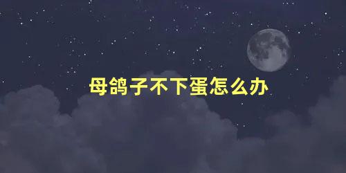 母鸽子不下蛋怎么办