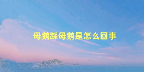 母鹅踩母鹅是怎么回事