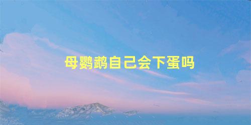 母鹦鹉自己会下蛋吗