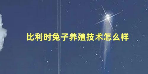 比利时兔子养殖技术怎么样