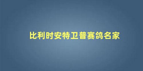 比利时安特卫普赛鸽名家