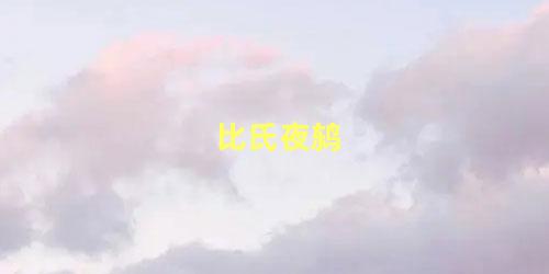 比氏夜鸫
