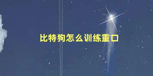 比特狗怎么训练重口