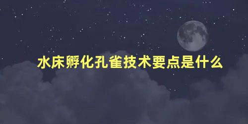 水床孵化孔雀技术要点是什么